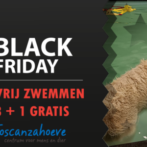 Black friday promotie: 4 sessies vrij zwemmen voor honden aan de prijs van 3 (3+1 gratis)
