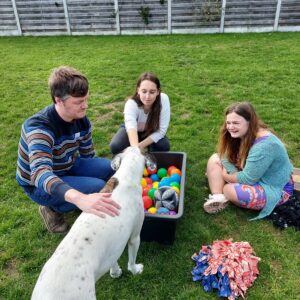 Volledig pakket gecertificeerde beroepsopleiding stress en burn-out (life) coach, rouw en trauma coaching en met specialisatie dierenspiegel en rouw en trauma voor volwassenen