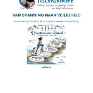 Van spanning naar veiligheid - werkboek